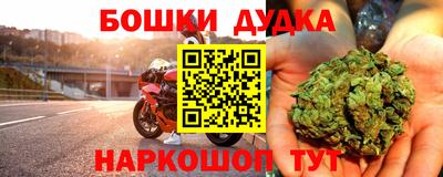 шишки Будённовск